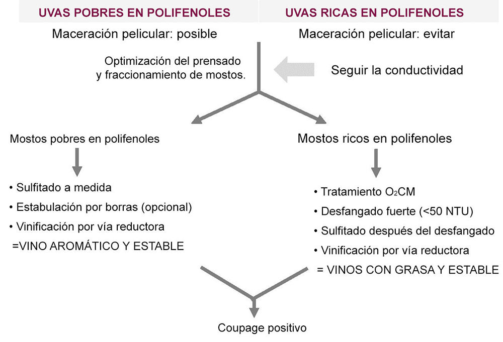 Figura 5 : Esquema de síntese da estratégia de gestão da extração de mostos (Fuente: Vivelys)