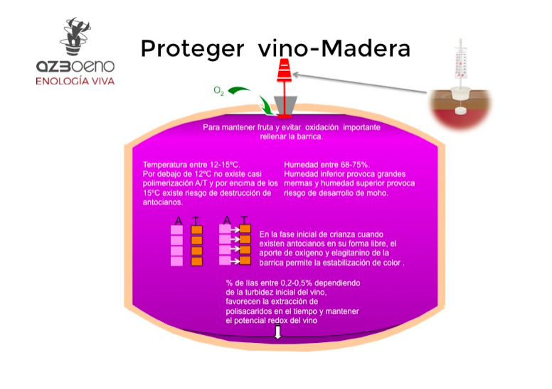 Proteger vino - madera