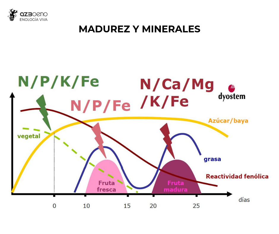 Madurez y minerales