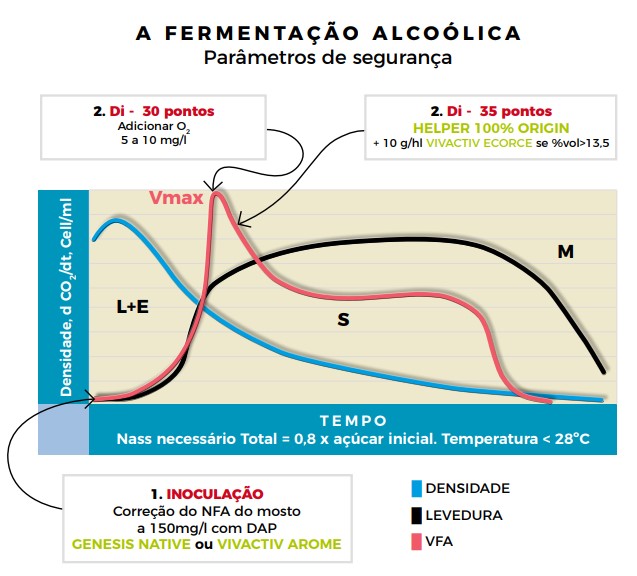A fermentaçao alcoólica