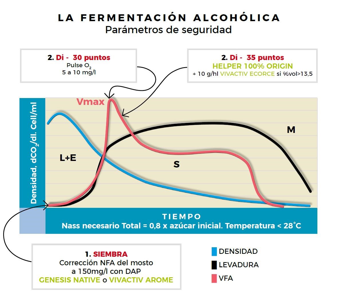 La fermentación alcohólica