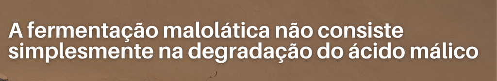A fermentação malolática não consiste simplesmente na degradação do ácido málico