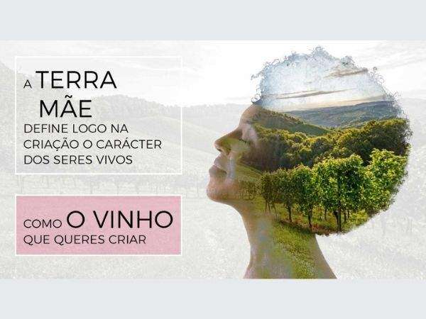 Esforçarmo-nos para uma nutrição adequada, é um bom investimento para os vinhos