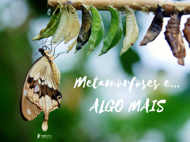 METAMORFOSES E… ALGO MAIS