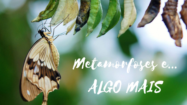 METAMORFOSES E… ALGO MAIS