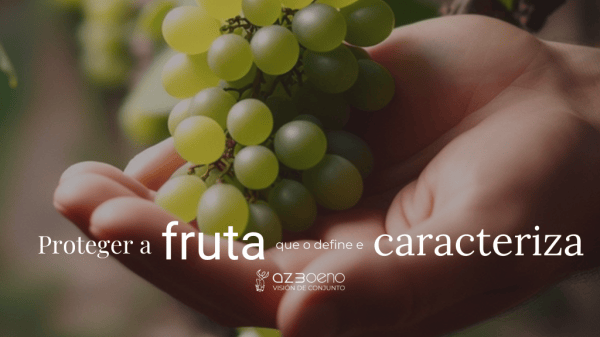 PROTEGER A FRUTA QUE O DEFINE E CARACTERIZA