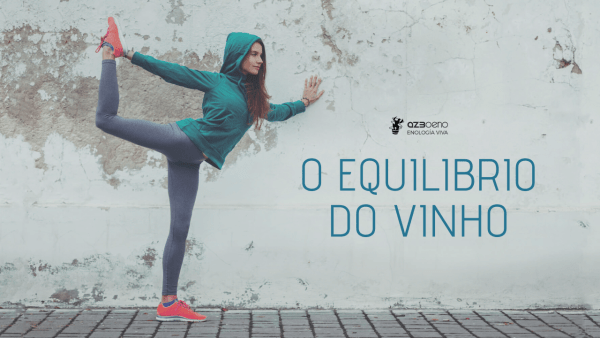 O EQUILIBRIO DO VINHO