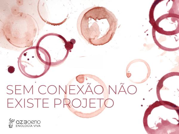 Sem conexão não existe projeto