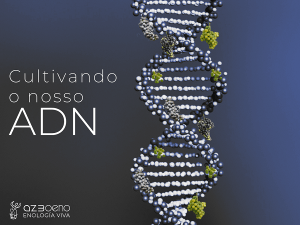 Cultivando o nosso ADN