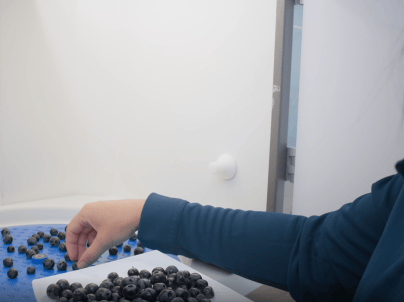 Formação Maturação