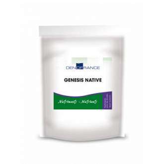 Genesis Native